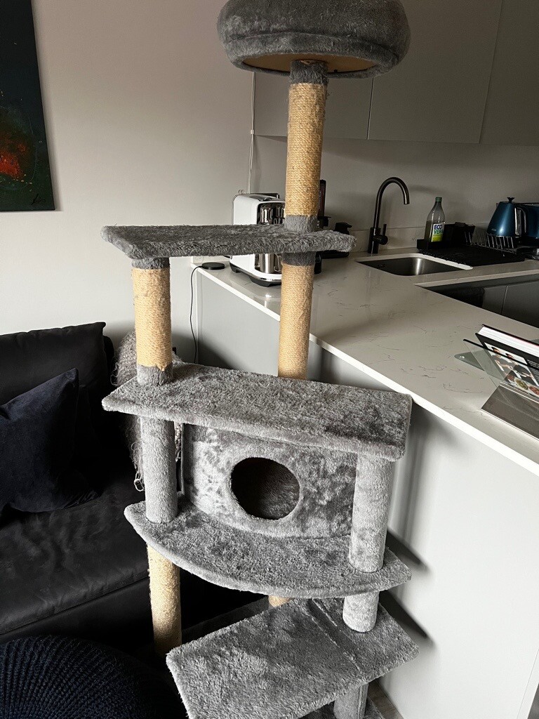 pets at home cat tree